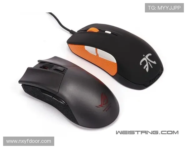 Fnatic战队再度崛起全面解析其在全球电竞舞台上的战略与荣耀之路 Fnatic战队再度崛起全面解析其在全球电竞舞台上的战略与荣耀之路