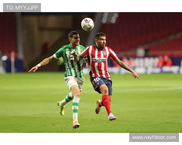 足球魅力无穷探索全球顶级联赛背后的故事与精彩瞬间