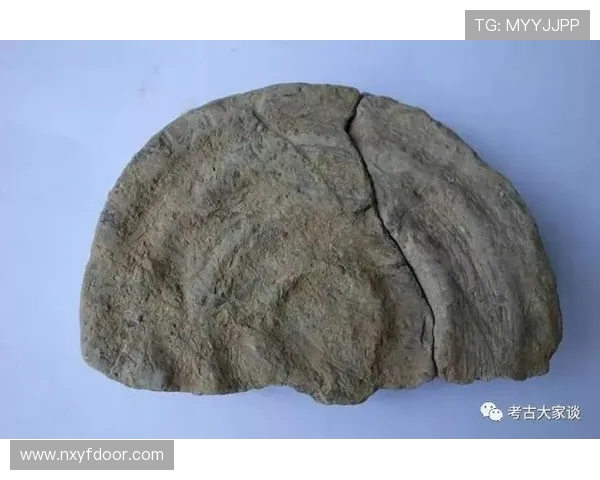 深圳马可波罗文化遗址的历史价值与考古发掘新进展分析