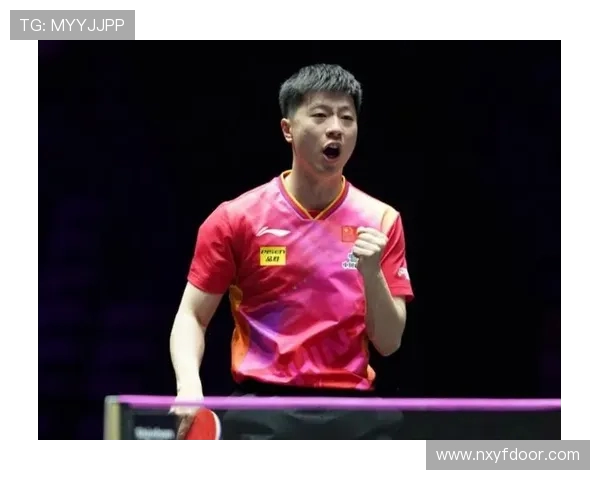 杭州乒乓球队的崛起与实力分析聚焦乒乓球发展新趋势